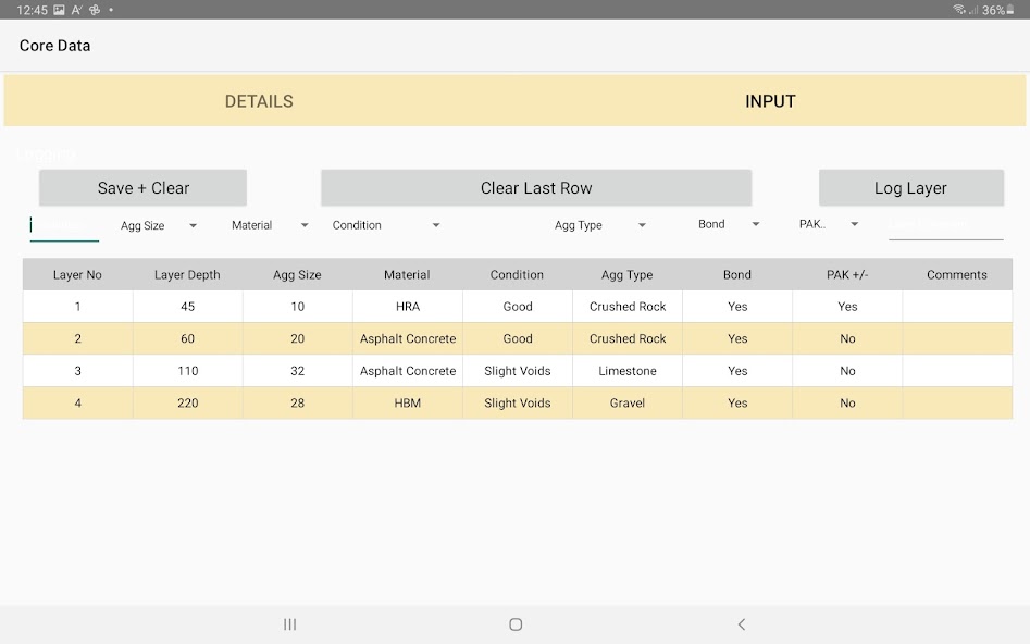 CoreDATA screen showing core photographs and graphical description tools.